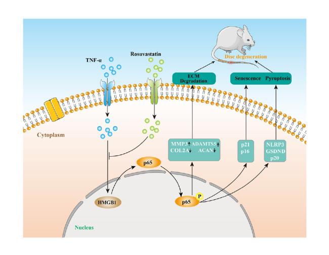 https://cdn.ncbi.nlm.nih.gov/pmc/blobs/9ed0/10281883/b677a3acc0ad/ABBS-2022-546-t8.jpg
