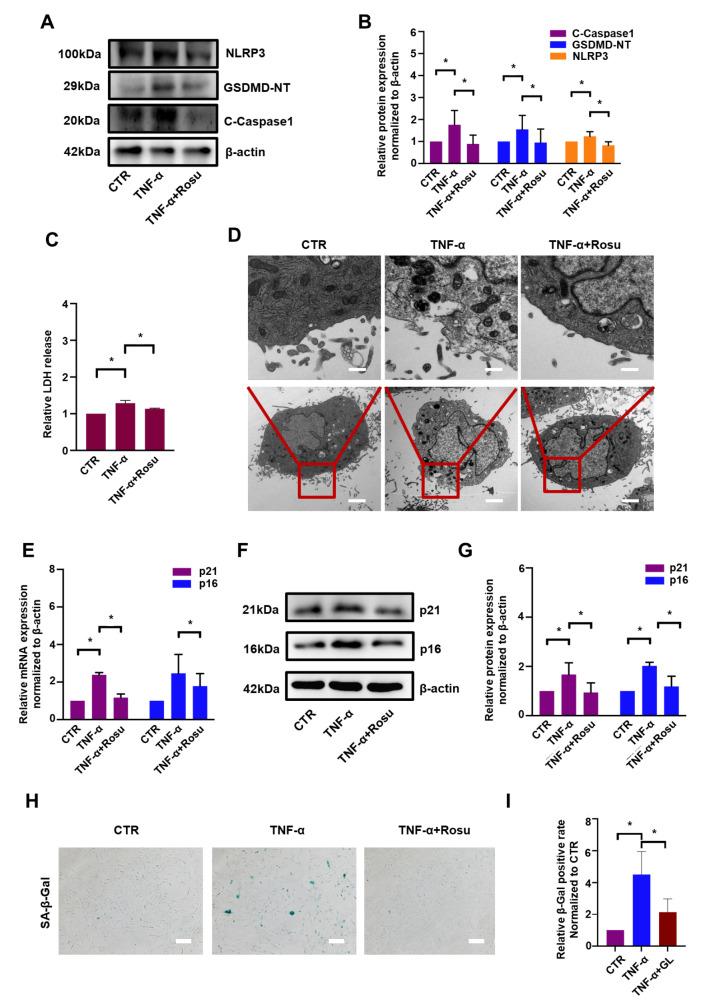 https://cdn.ncbi.nlm.nih.gov/pmc/blobs/9ed0/10281883/c9bbe9db0178/ABBS-2022-546-t2.jpg