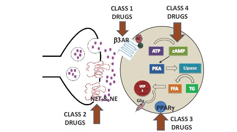 https://cdn.ncbi.nlm.nih.gov/pmc/blobs/9ed0/5425649/b0ef81b9dc79/CDR-12-414_F1.jpg