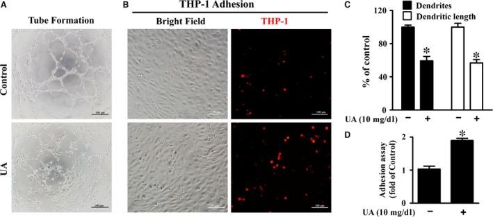 https://cdn.ncbi.nlm.nih.gov/pmc/blobs/9ed0/5618667/d645df05ed9e/JCMM-21-2553-g002.jpg