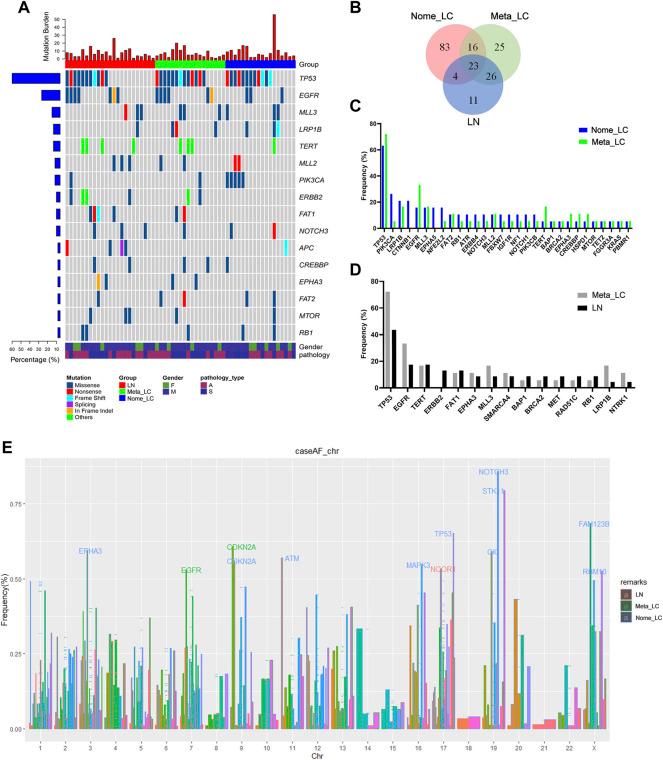 https://cdn.ncbi.nlm.nih.gov/pmc/blobs/9ed0/9243222/7c4c5f3acef6/pore-28-1610020-g001.jpg