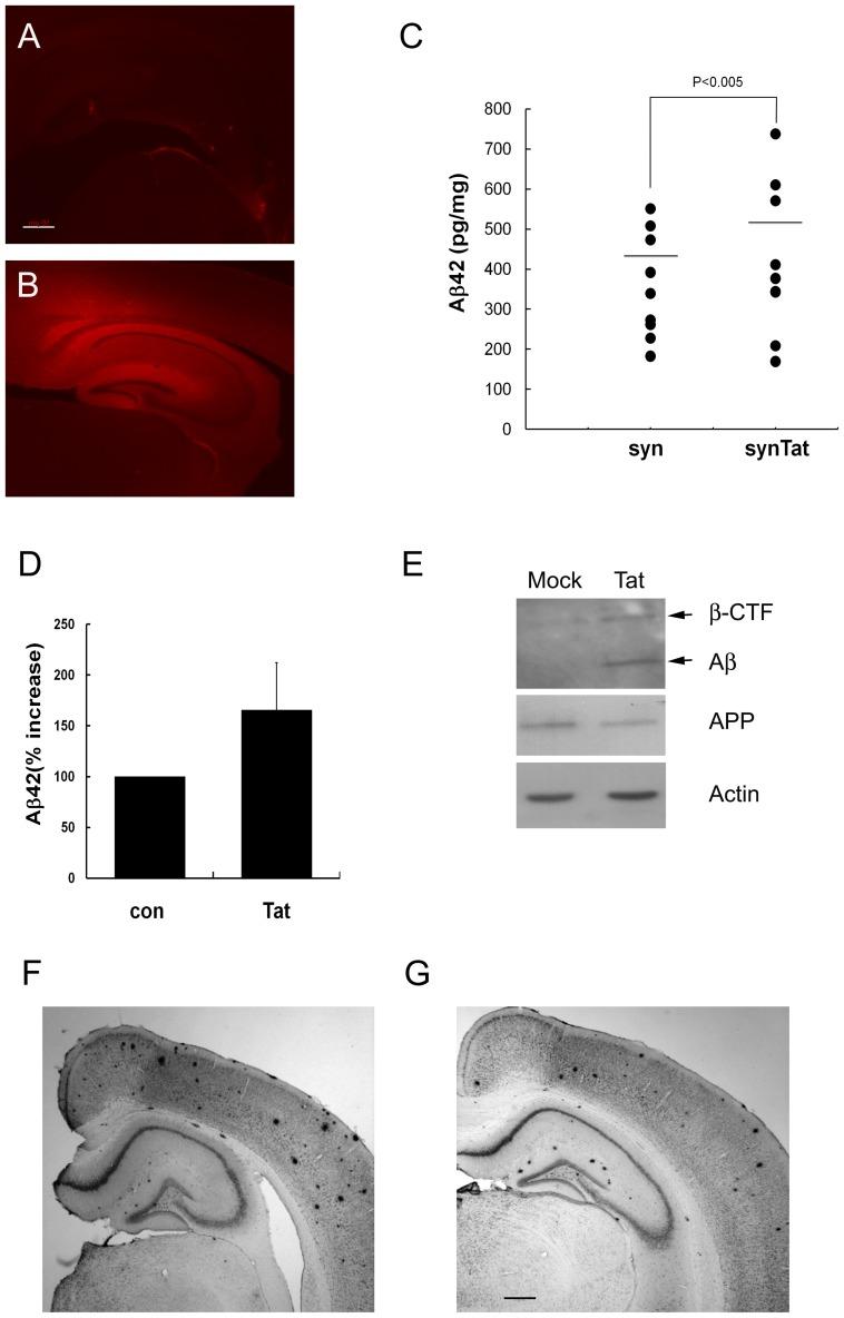 https://cdn.ncbi.nlm.nih.gov/pmc/blobs/9ed3/3843664/6f2c11d27498/pone.0077972.g005.jpg