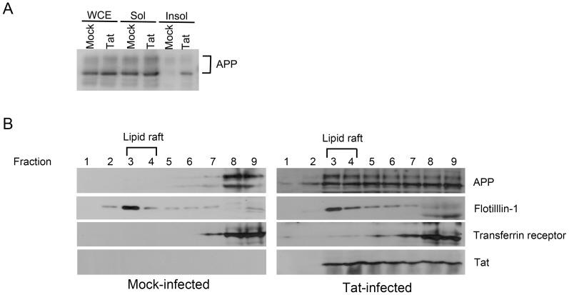 https://cdn.ncbi.nlm.nih.gov/pmc/blobs/9ed3/3843664/97fc7d9ac675/pone.0077972.g003.jpg