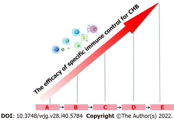 https://cdn.ncbi.nlm.nih.gov/pmc/blobs/9ed3/9639659/0c10777b1ece/WJG-28-5784-g004.jpg