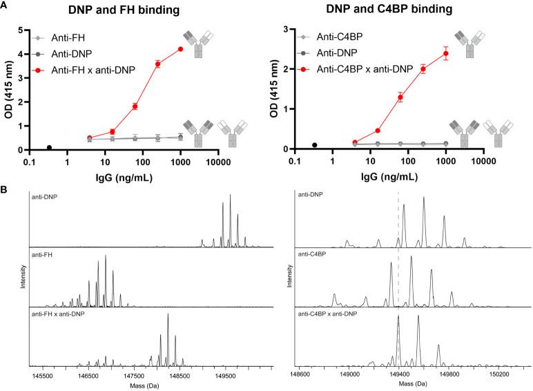 https://cdn.ncbi.nlm.nih.gov/pmc/blobs/9ed6/11137741/78a8d15ef44b/fimmu-15-1288597-g001.jpg