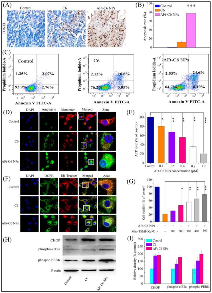 https://cdn.ncbi.nlm.nih.gov/pmc/blobs/9ed6/12191930/192240653420/cimb-47-00460-g008.jpg