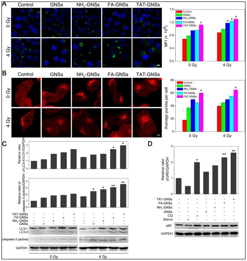 https://cdn.ncbi.nlm.nih.gov/pmc/blobs/9ed6/12191930/29839f87d419/cimb-47-00460-g007.jpg