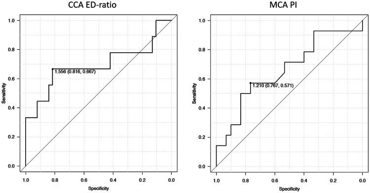 https://cdn.ncbi.nlm.nih.gov/pmc/blobs/9ed6/9500273/ffd057924167/10.1177_03000605221119358-fig1.jpg