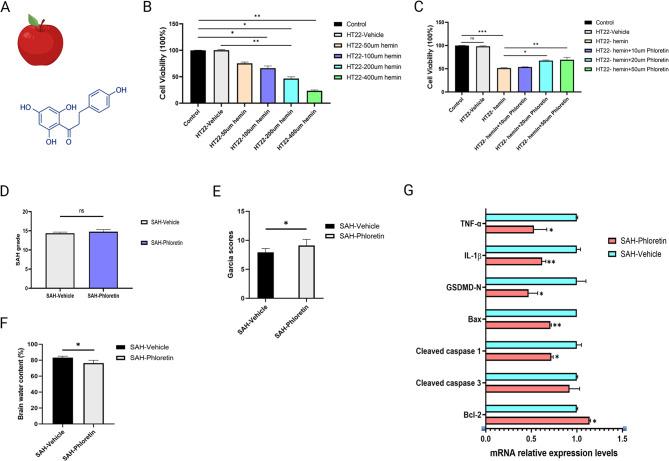 https://cdn.ncbi.nlm.nih.gov/pmc/blobs/9ed8/11534998/4615b183ee63/41598_2024_77671_Fig3_HTML.jpg