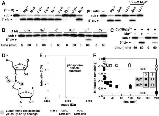 https://cdn.ncbi.nlm.nih.gov/pmc/blobs/9ed8/4604425/f2e0d97d86ea/1852F04.jpg