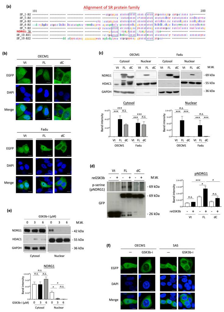 https://cdn.ncbi.nlm.nih.gov/pmc/blobs/9ed8/9104279/93c2a5042e9b/cells-11-01581-g006.jpg
