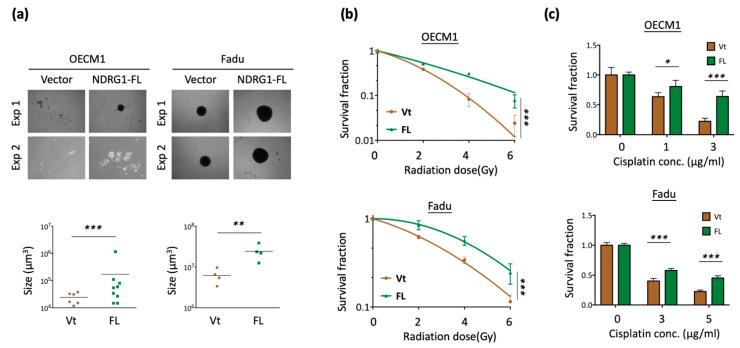 https://cdn.ncbi.nlm.nih.gov/pmc/blobs/9ed8/9104279/b890ba2f884d/cells-11-01581-g002a.jpg