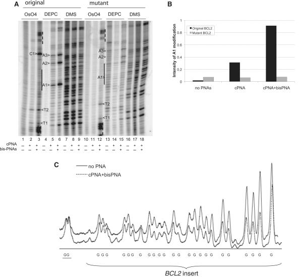 https://cdn.ncbi.nlm.nih.gov/pmc/blobs/9ed9/3167611/7694c3bdbb85/gkr259f5.jpg