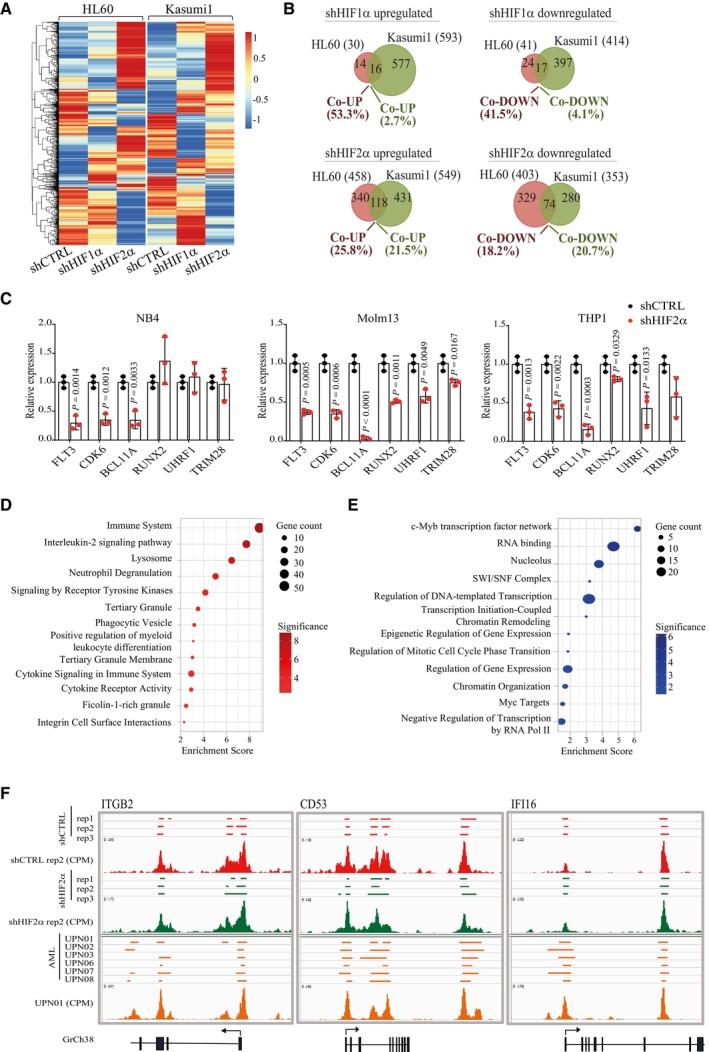 https://cdn.ncbi.nlm.nih.gov/pmc/blobs/9eda/10630882/654b85bbb7e8/EMMM-15-e17810-g011.jpg