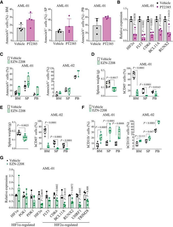 https://cdn.ncbi.nlm.nih.gov/pmc/blobs/9eda/10630882/764a12da347c/EMMM-15-e17810-g006.jpg
