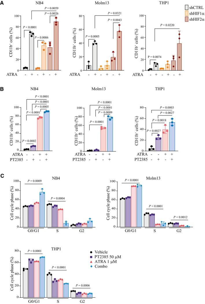 https://cdn.ncbi.nlm.nih.gov/pmc/blobs/9eda/10630882/ac8138dc6597/EMMM-15-e17810-g010.jpg