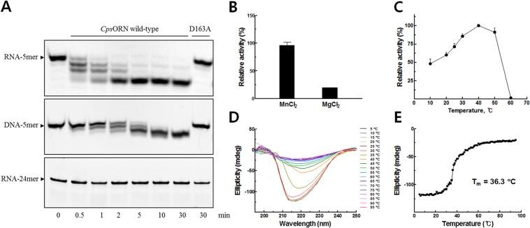 https://cdn.ncbi.nlm.nih.gov/pmc/blobs/9eda/6390093/114a7cb5ef8f/41598_2019_39641_Fig1_HTML.jpg