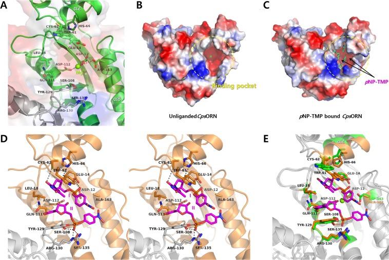 https://cdn.ncbi.nlm.nih.gov/pmc/blobs/9eda/6390093/863b0b816fc7/41598_2019_39641_Fig4_HTML.jpg