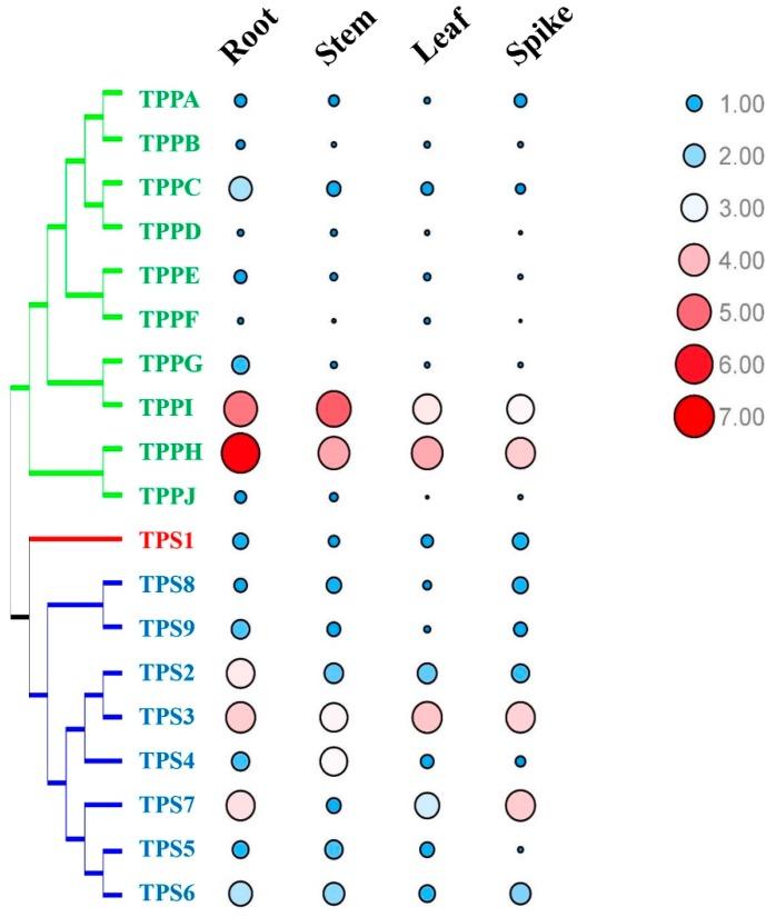 https://cdn.ncbi.nlm.nih.gov/pmc/blobs/9eda/6843561/76dd6d847b9b/plants-08-00362-g008.jpg