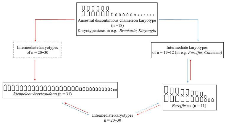 https://cdn.ncbi.nlm.nih.gov/pmc/blobs/9edc/10970613/13b8d2124863/genes-15-00371-g003.jpg