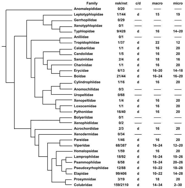 https://cdn.ncbi.nlm.nih.gov/pmc/blobs/9edc/10970613/db8b1b1779ca/genes-15-00371-g002.jpg
