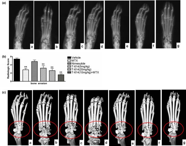 https://cdn.ncbi.nlm.nih.gov/pmc/blobs/9edd/2656239/2e845d48b319/ar2554-3.jpg