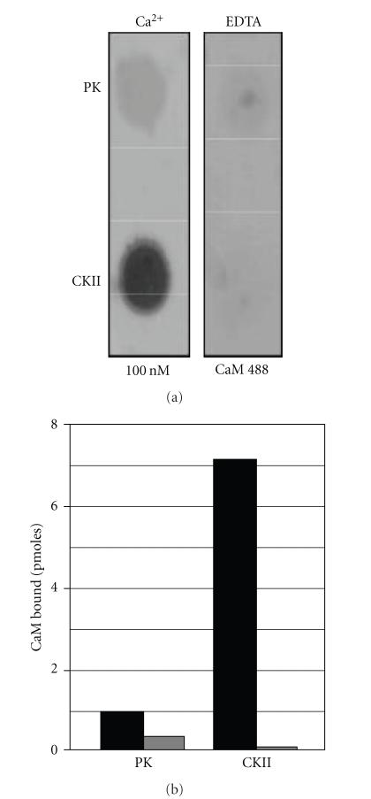 https://cdn.ncbi.nlm.nih.gov/pmc/blobs/9ede/2933916/f5007b07becf/CPN2010-728052.006.jpg
