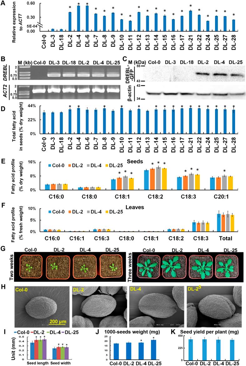 https://cdn.ncbi.nlm.nih.gov/pmc/blobs/9ede/5046110/e6d5866c5173/srep34307-f3.jpg