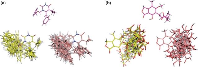 https://cdn.ncbi.nlm.nih.gov/pmc/blobs/9edf/2896087/e0af0cf37117/gkq325f3.jpg