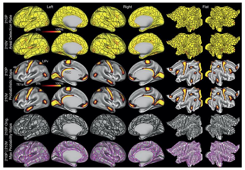 https://cdn.ncbi.nlm.nih.gov/pmc/blobs/9edf/4990127/19708e767247/emss-68870-f005.jpg