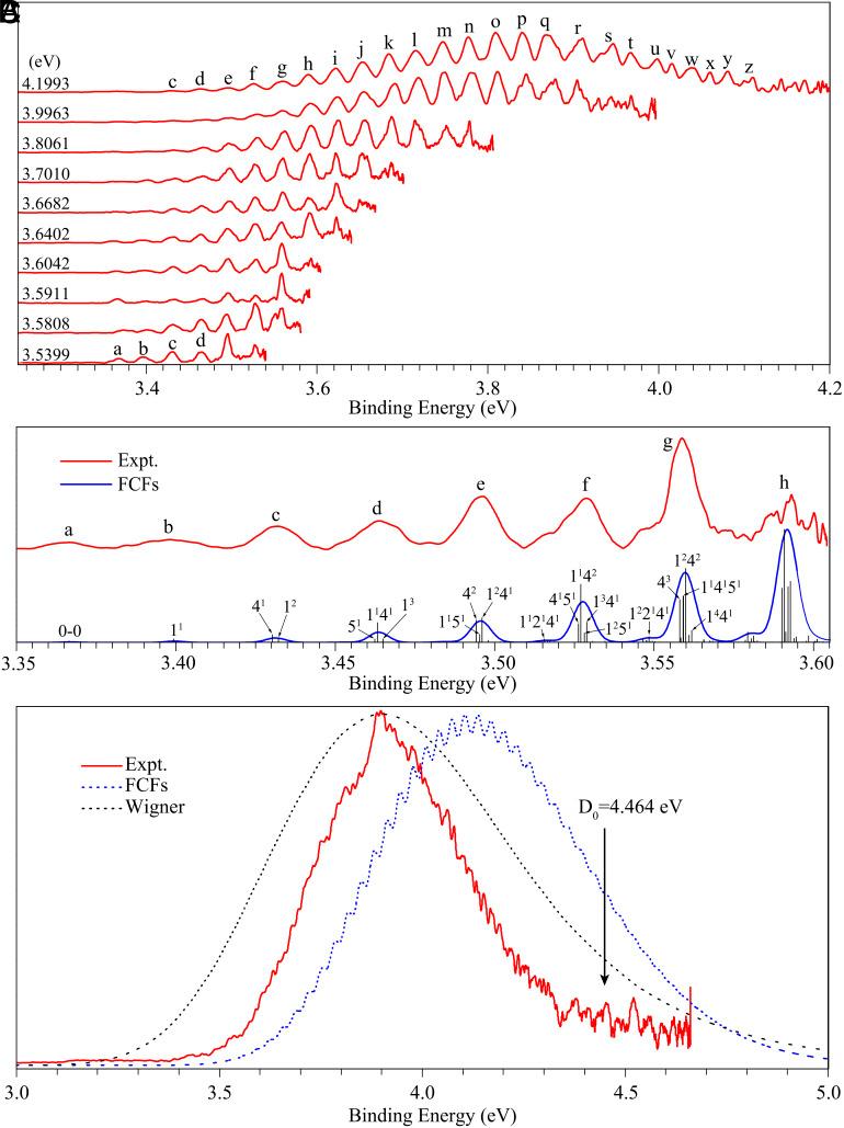 https://cdn.ncbi.nlm.nih.gov/pmc/blobs/9ee0/10861908/3523953858ec/pnas.2314819121fig02.jpg