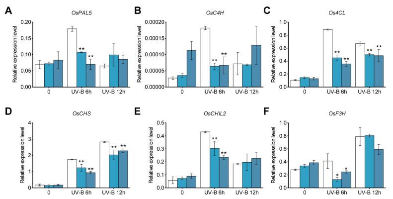 https://cdn.ncbi.nlm.nih.gov/pmc/blobs/9ee1/10893026/64e526c3d75d/plants-13-00498-g006.jpg