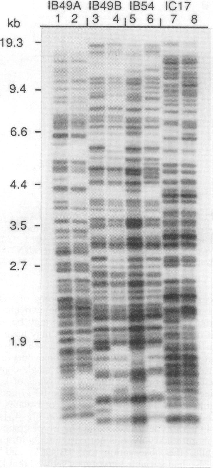 https://cdn.ncbi.nlm.nih.gov/pmc/blobs/9ee4/202148/726d91969279/aem00031-0245-a.jpg