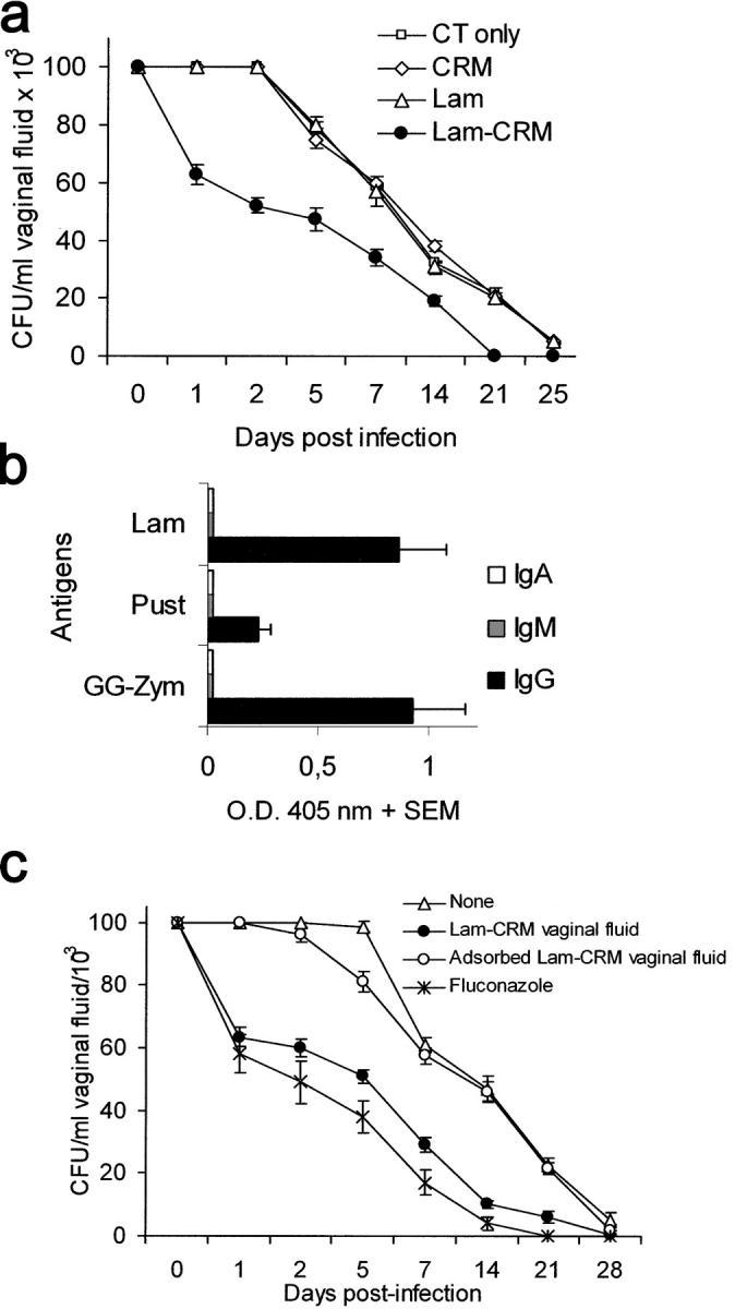 https://cdn.ncbi.nlm.nih.gov/pmc/blobs/9ee7/2212864/741ce2cbf906/20050749f3.jpg