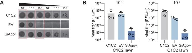 https://cdn.ncbi.nlm.nih.gov/pmc/blobs/9eea/12199143/056d2c75aa8b/gkaf576fig1.jpg