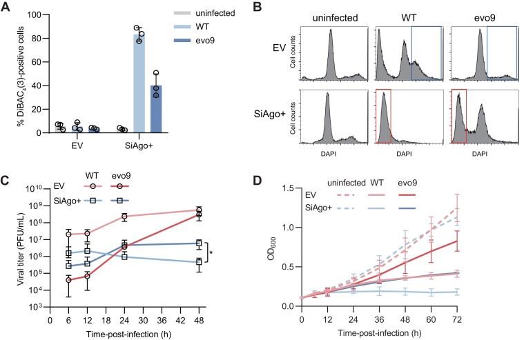 https://cdn.ncbi.nlm.nih.gov/pmc/blobs/9eea/12199143/072e0f373b54/gkaf576fig5.jpg