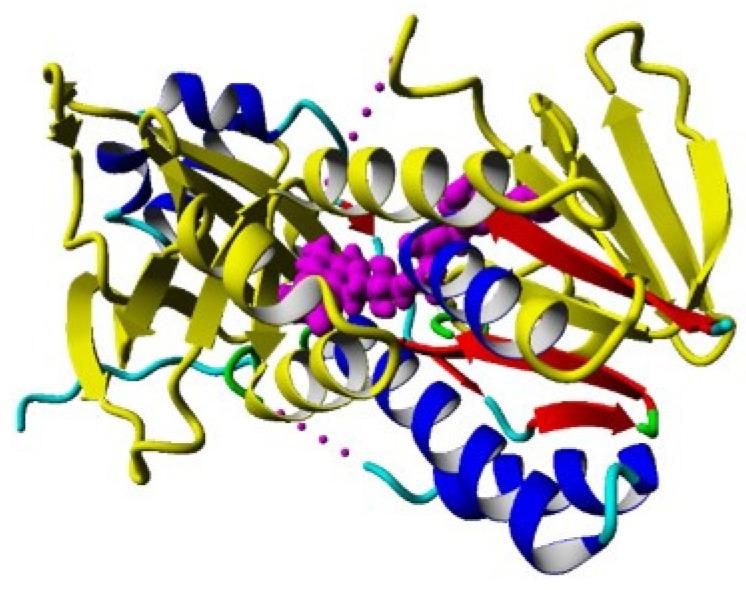https://cdn.ncbi.nlm.nih.gov/pmc/blobs/9eea/8747024/90498476aca7/molecules-27-00273-g006.jpg