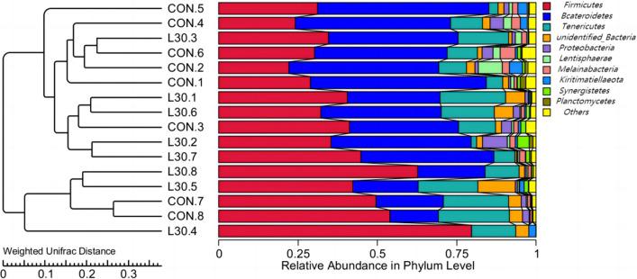 https://cdn.ncbi.nlm.nih.gov/pmc/blobs/9eee/10547668/c067267298e6/13568_2023_1610_Fig2_HTML.jpg