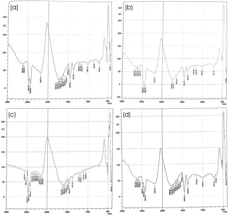 https://cdn.ncbi.nlm.nih.gov/pmc/blobs/9eee/12030045/e5da9a7b7982/pharmaceutics-17-00478-g005.jpg