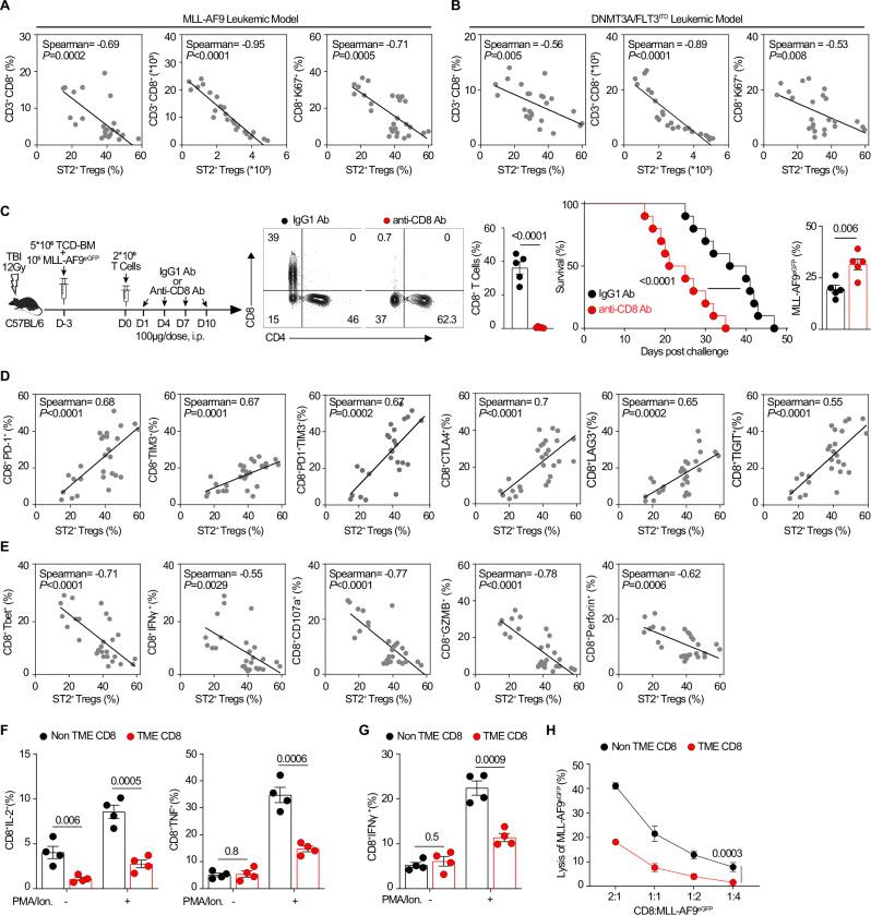 https://cdn.ncbi.nlm.nih.gov/pmc/blobs/9ef0/12279971/065e405b70c4/41467_2025_61647_Fig3_HTML.jpg