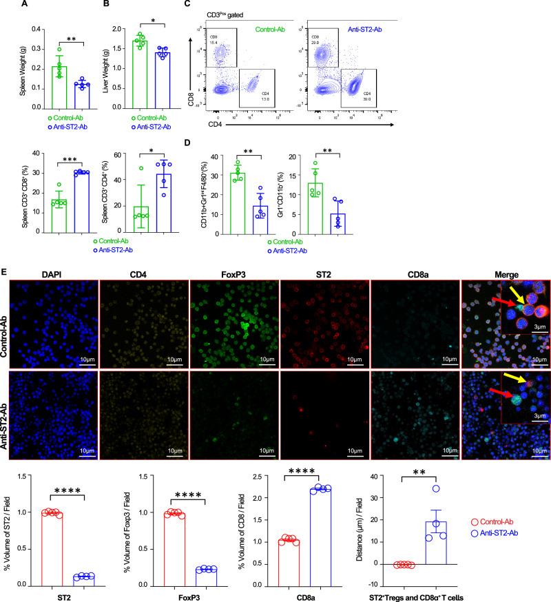 https://cdn.ncbi.nlm.nih.gov/pmc/blobs/9ef0/12279971/2cb43d158ee7/41467_2025_61647_Fig10_HTML.jpg