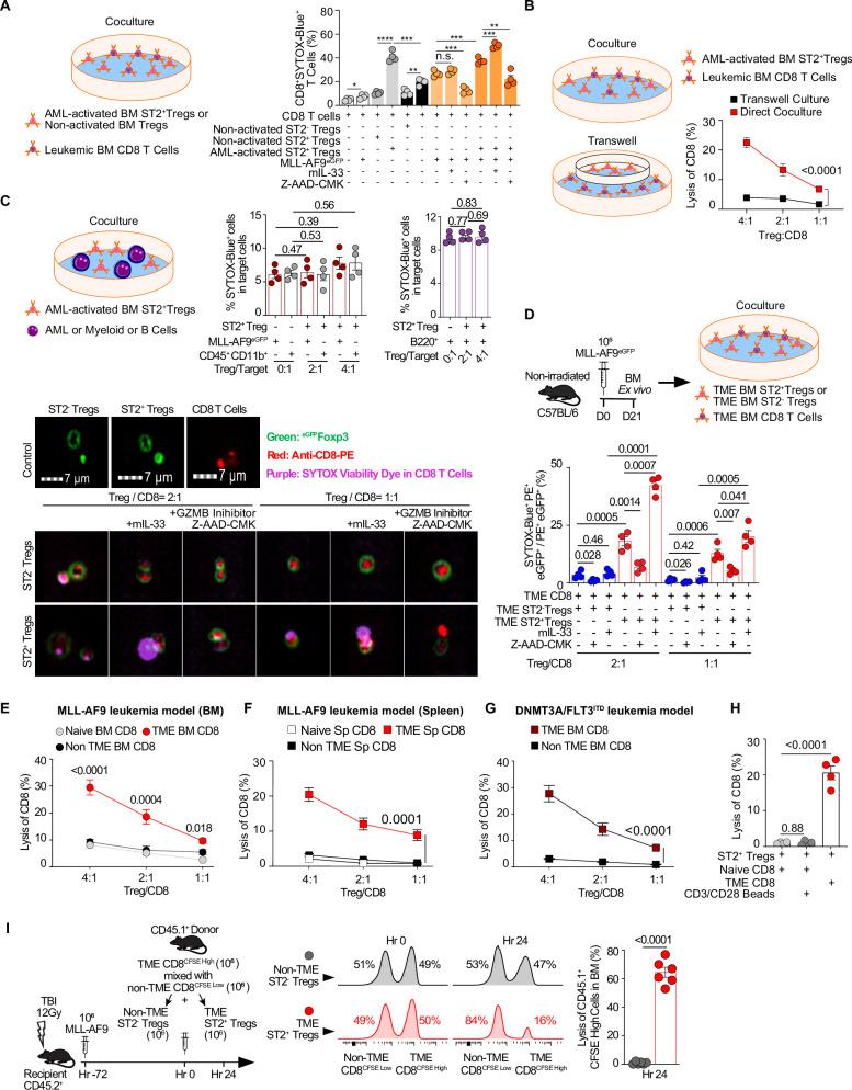 https://cdn.ncbi.nlm.nih.gov/pmc/blobs/9ef0/12279971/563ffc0bcca3/41467_2025_61647_Fig8_HTML.jpg
