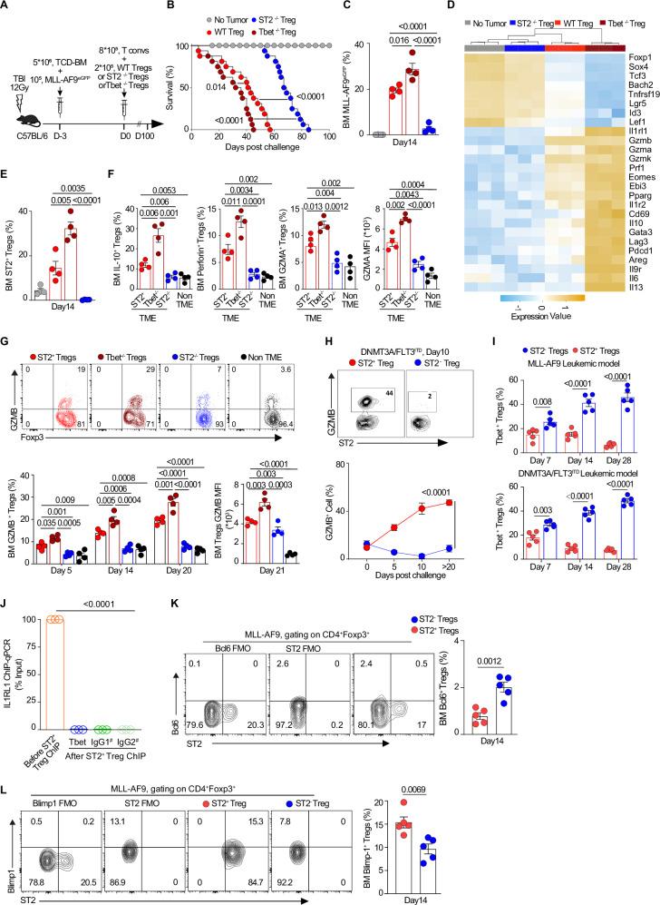 https://cdn.ncbi.nlm.nih.gov/pmc/blobs/9ef0/12279971/c06aa8fc7d6c/41467_2025_61647_Fig7_HTML.jpg