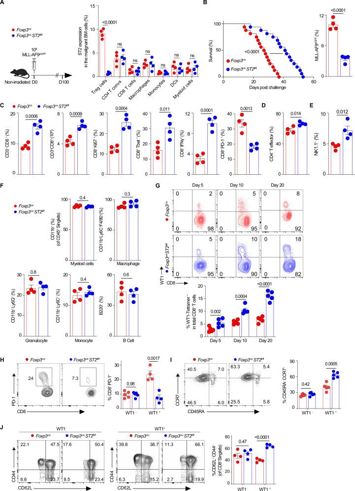 https://cdn.ncbi.nlm.nih.gov/pmc/blobs/9ef0/12279971/d567b6b1a0d1/41467_2025_61647_Fig5_HTML.jpg
