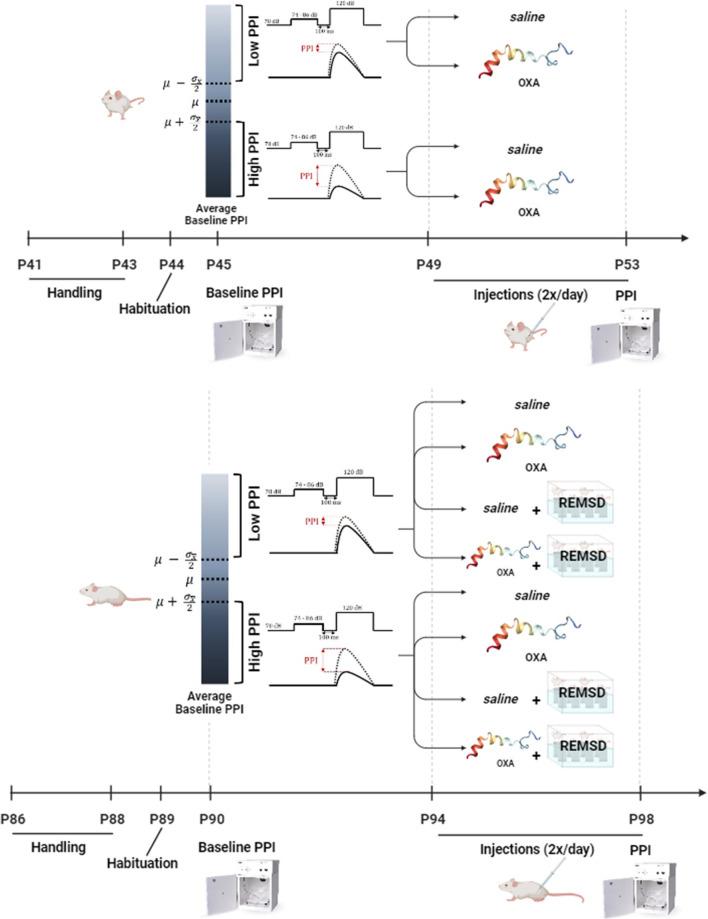 https://cdn.ncbi.nlm.nih.gov/pmc/blobs/9ef1/11106105/db719263ab04/213_2024_6555_Fig1_HTML.jpg