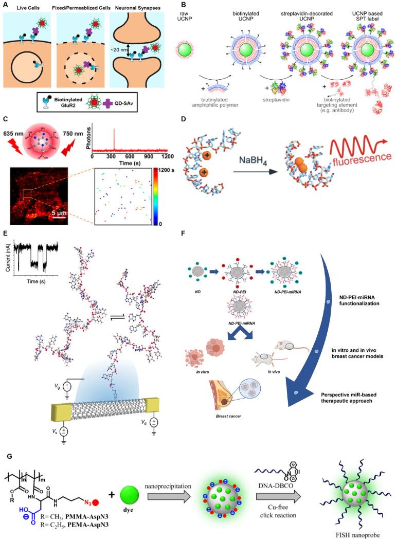 https://cdn.ncbi.nlm.nih.gov/pmc/blobs/9ef1/12109833/87b0c407ff29/biosensors-15-00283-g001.jpg