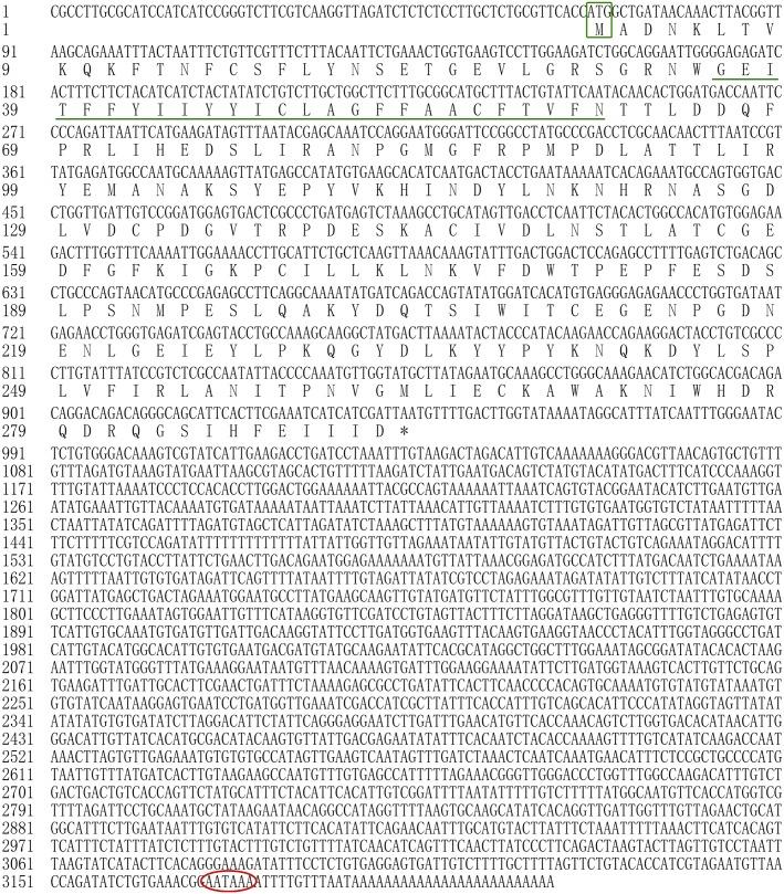 https://cdn.ncbi.nlm.nih.gov/pmc/blobs/9ef1/6137147/4a116ea81931/fphys-09-01244-g004.jpg