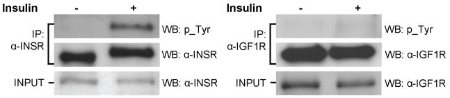 https://cdn.ncbi.nlm.nih.gov/pmc/blobs/9ef2/2939022/1eff30fc34f9/pbio.1000480.g003.jpg