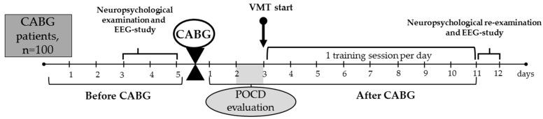 https://cdn.ncbi.nlm.nih.gov/pmc/blobs/9ef4/12292947/7f7b24ca903f/biomedicines-13-01755-g001.jpg