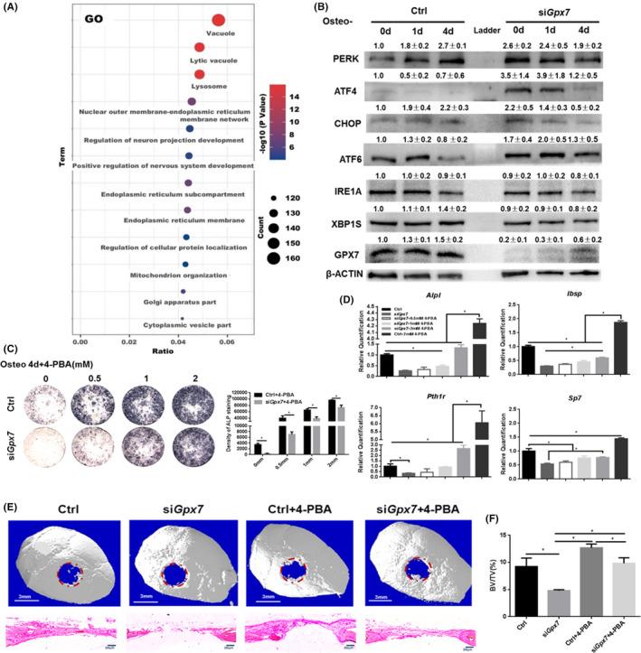 https://cdn.ncbi.nlm.nih.gov/pmc/blobs/9ef6/8581313/6d788df6fd0a/JCMM-25-10454-g001.jpg